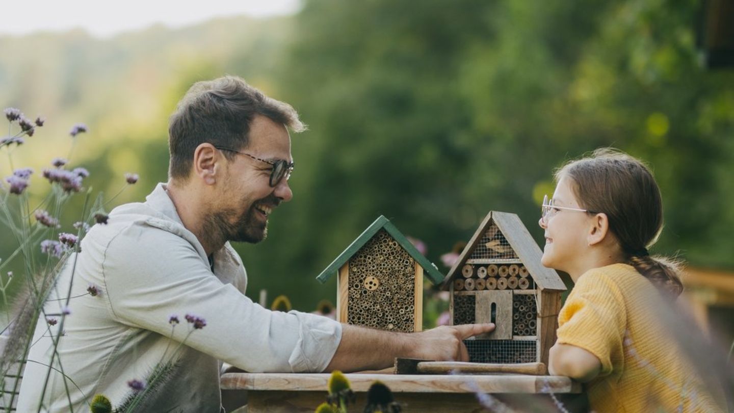 Für Bienen und mehr: So wird der Garten zur Insektenoase