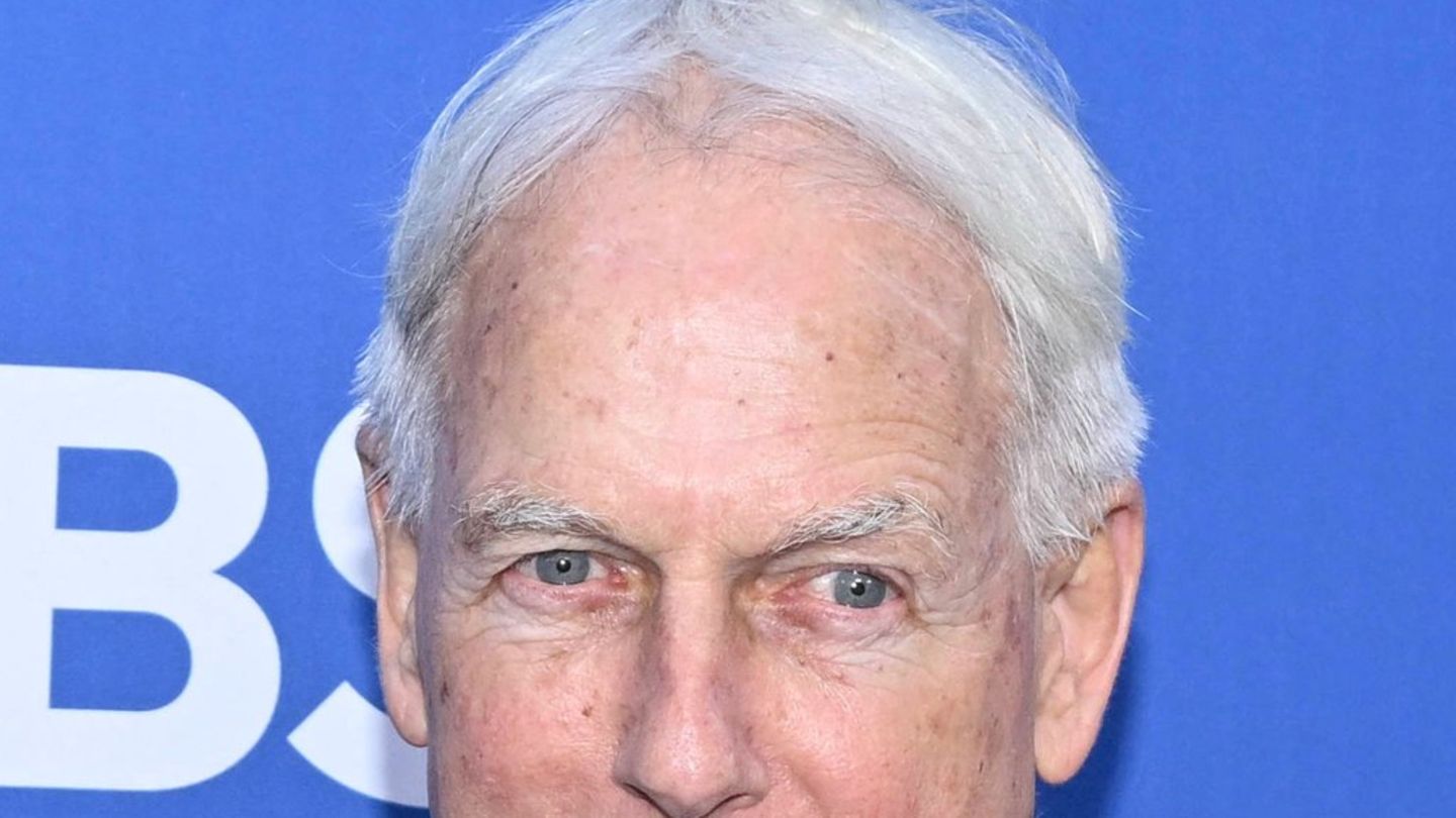 "NCIS"-Star Mark Harmon: Ein simpler Anruf startete seine Karriere