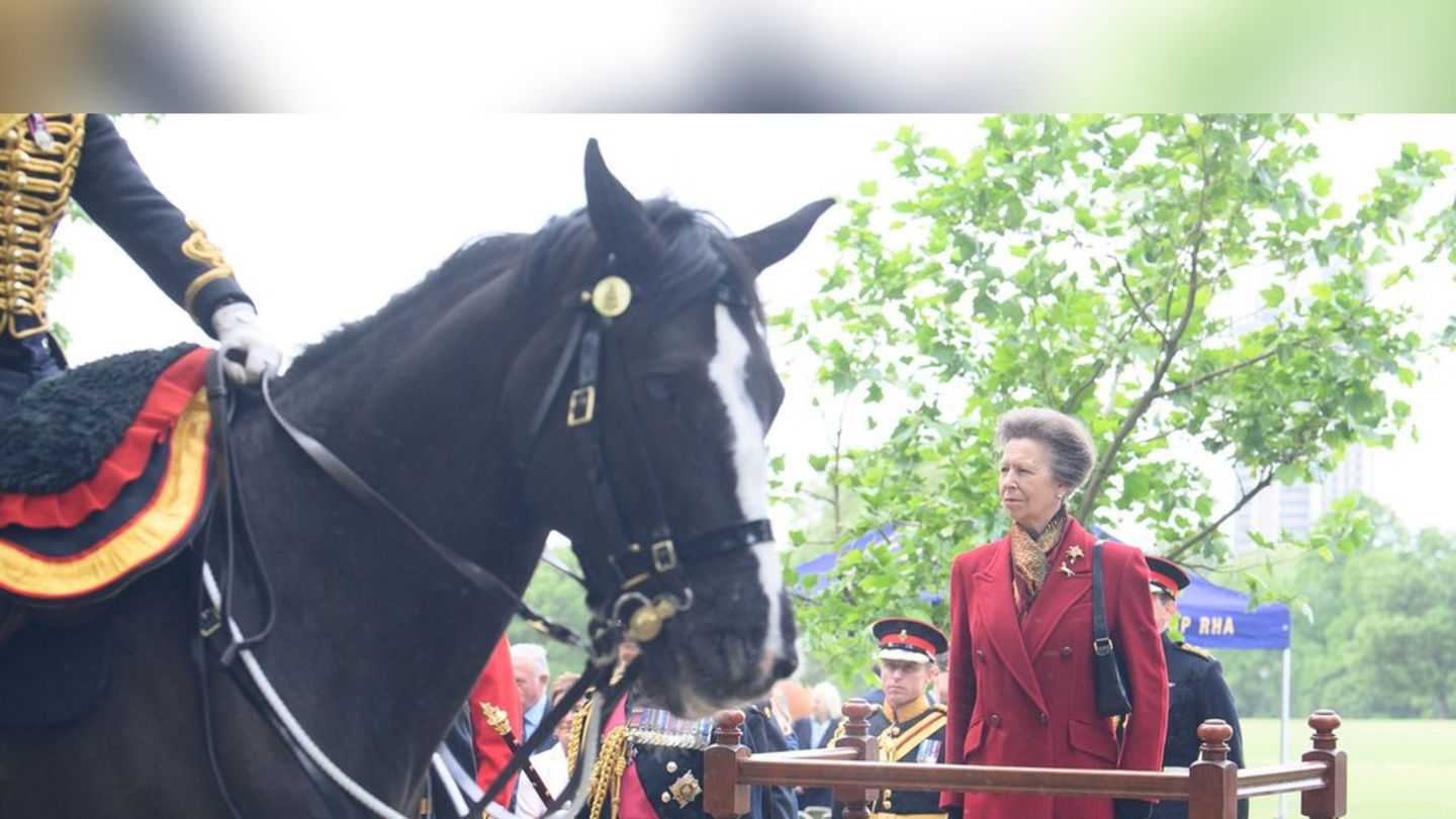 Prinzessin Anne: Sie würdigt Bruder Charles am Krönungstag