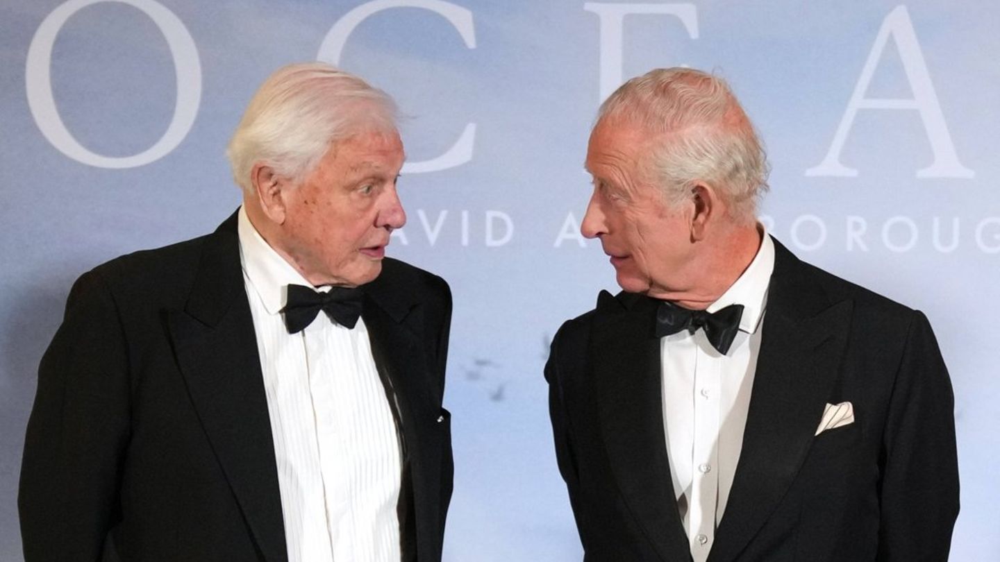 David Attenborough wird 100: Royals und Promis gratulieren | GALA.de