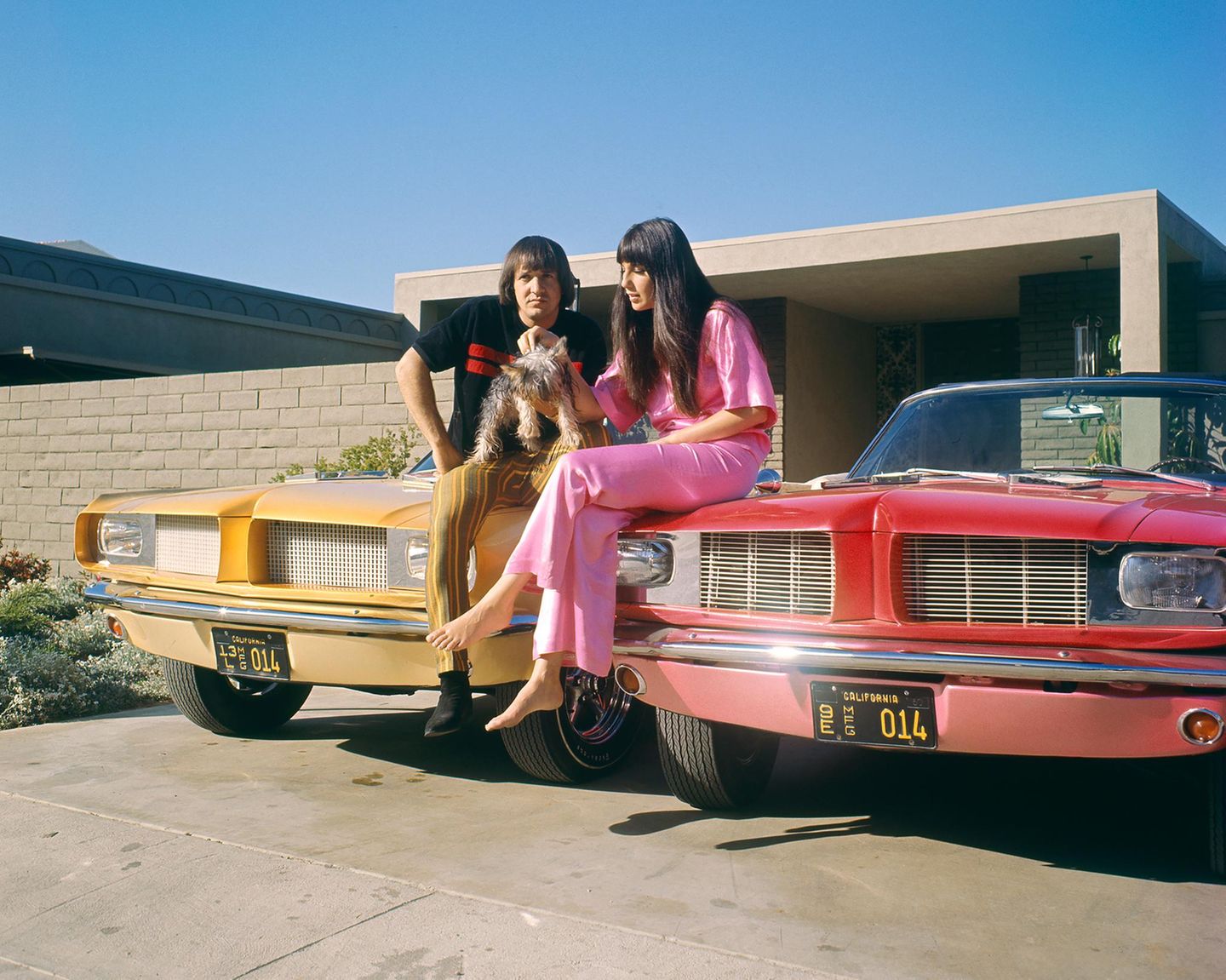Cher main image 0