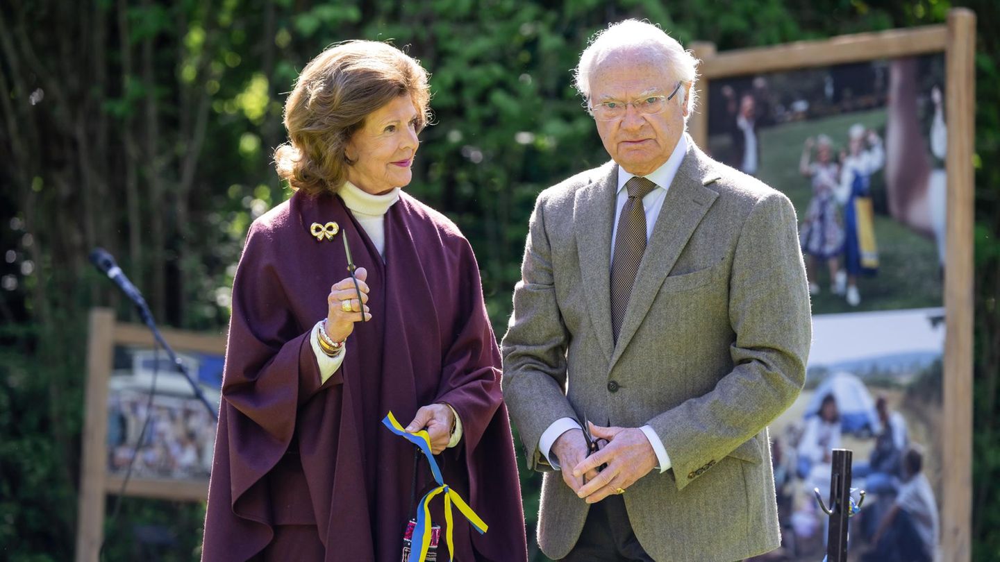 K-nigin-Silvia-St-ndig-Diese-Eigenart-von-K-nigin-Silvia-macht-ihn-rasend