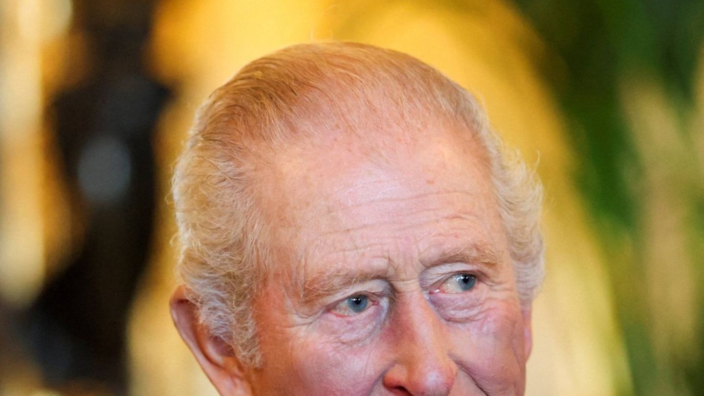 Britische-Royals-Umfragewerte-f-r-Monarchie-sinken