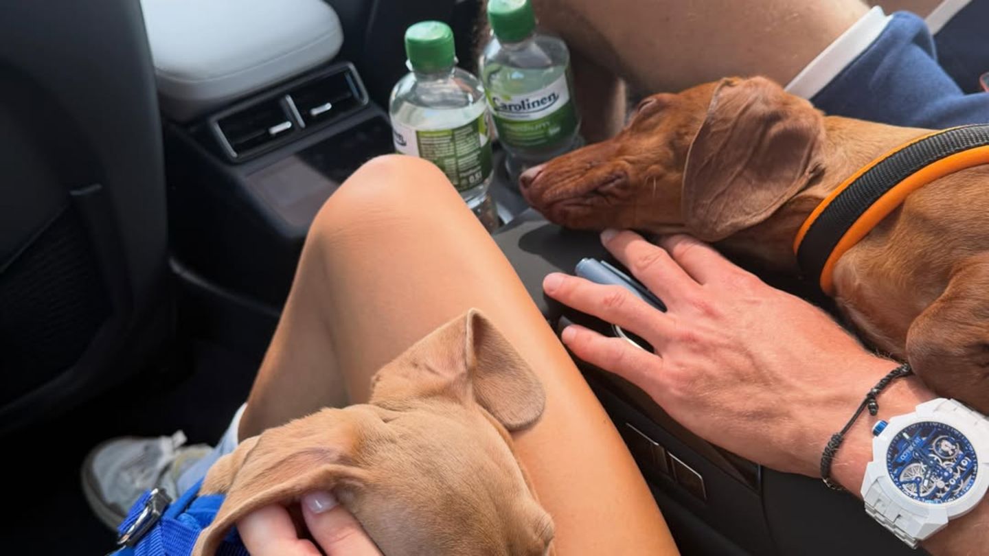 Alexander Zverev + Sophia Thomalla: "Ein paar schöne Tage in Kitzbühel" – auch im Bett
