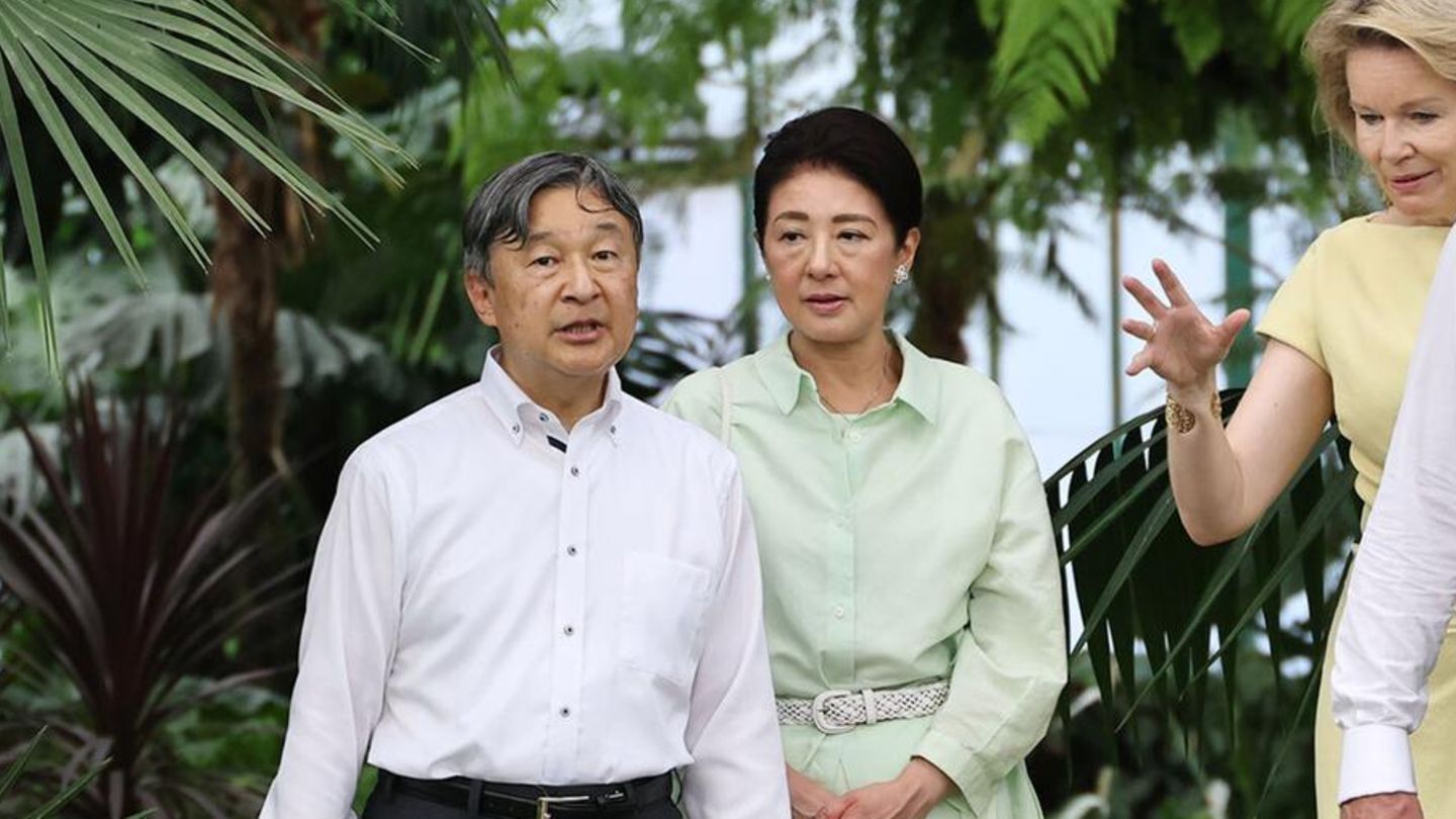 Kaiserin Masako + Co: Kaiser Naruhito verliert seltene Worte über Gesundheitszustand seiner Frau
