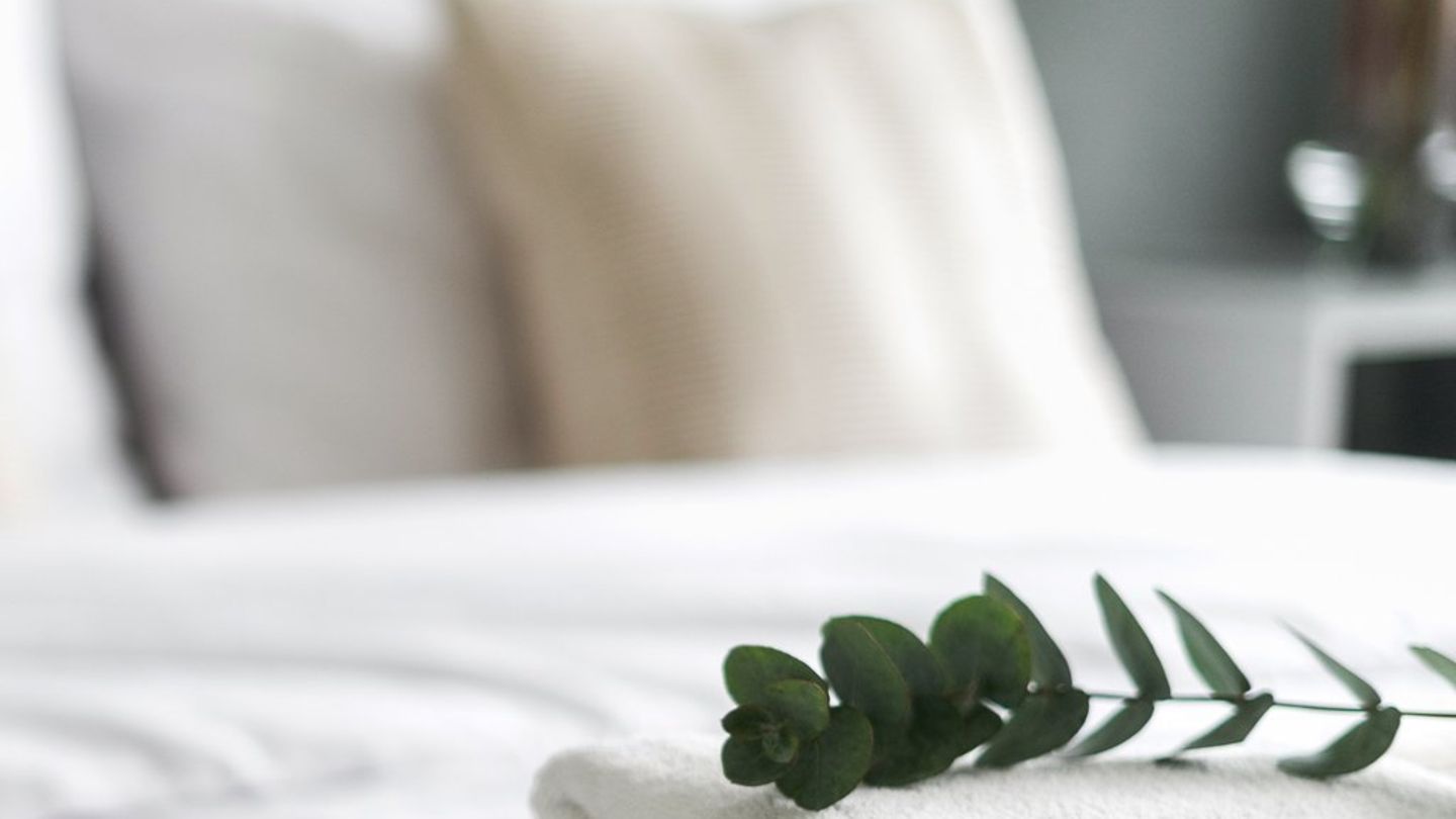 Günstigen Urlaub mit der Familie planen: Wann rechnen sich Ferienhäuser und Hotels?