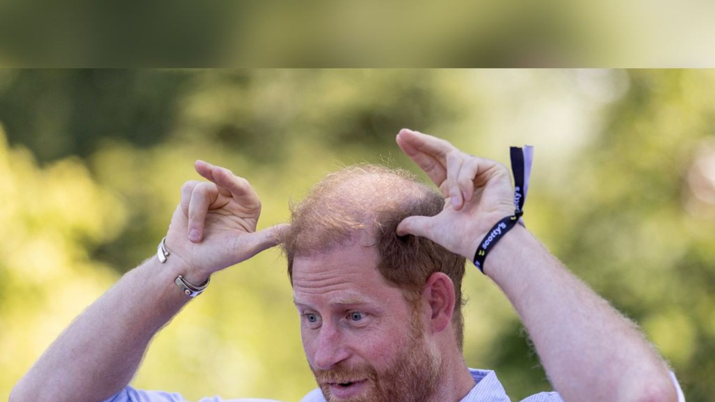 Prinz Harry: Sein aktueller Beruf ist "Vollzeit-Vater"