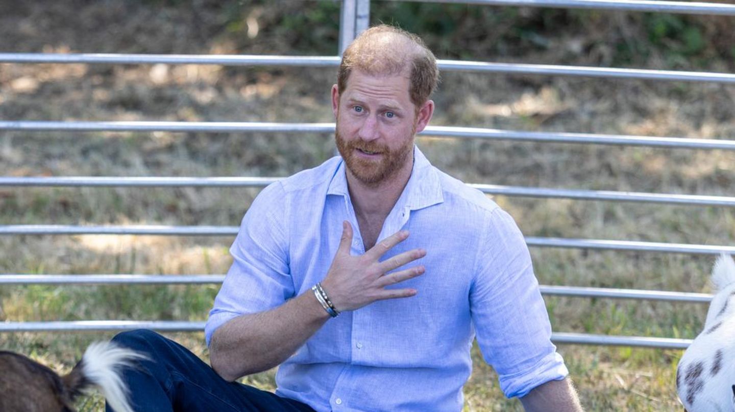 Prinz Harry: Nach Treffen mit Charles nennt er sich selbst "Prinz von ...