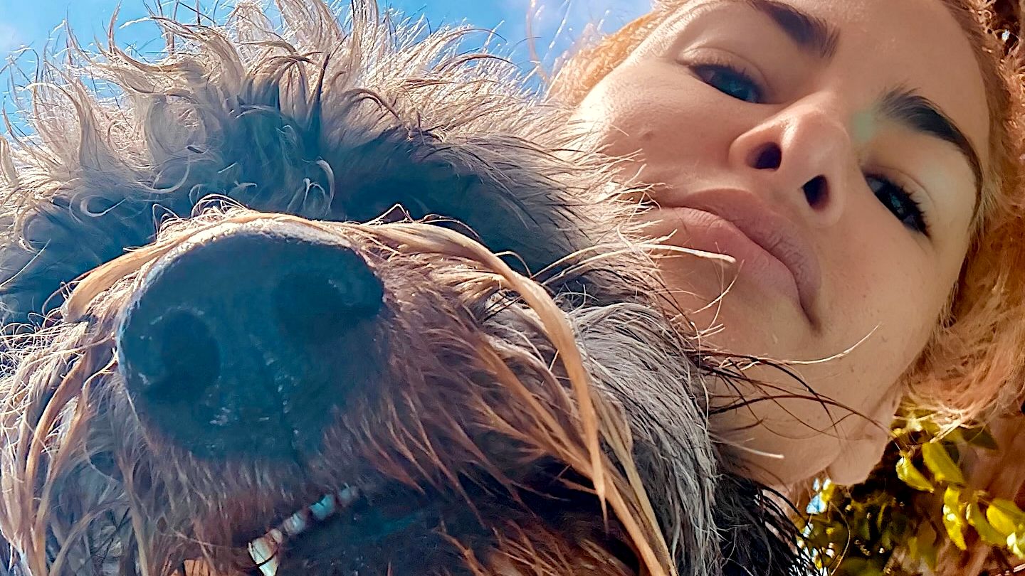 Hollywuff-So-trotzen-sie-und-ihr-s-er-Vierbeiner-der-Sommerhitze