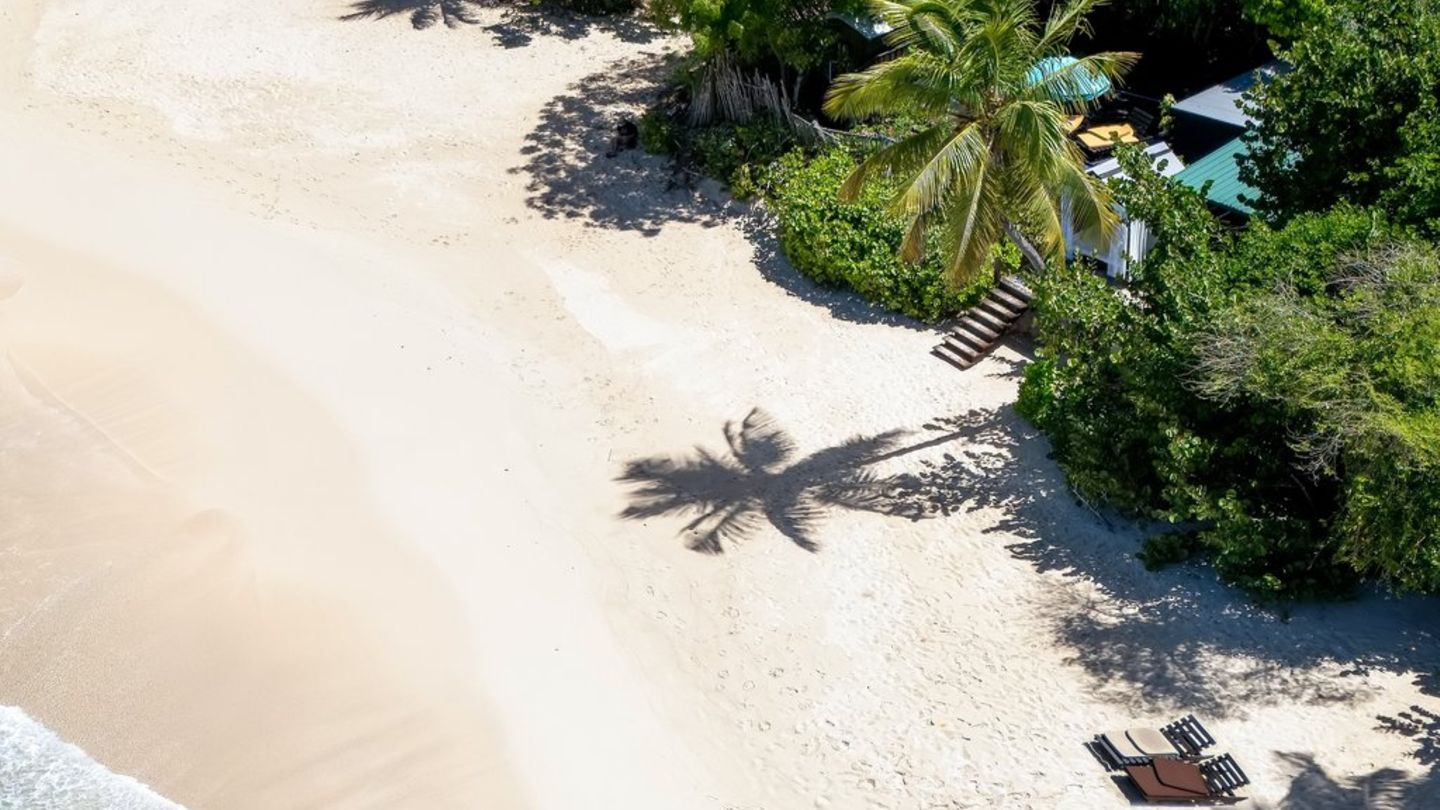 Auswandern?: Viele denken über Leben im Ausland nach
