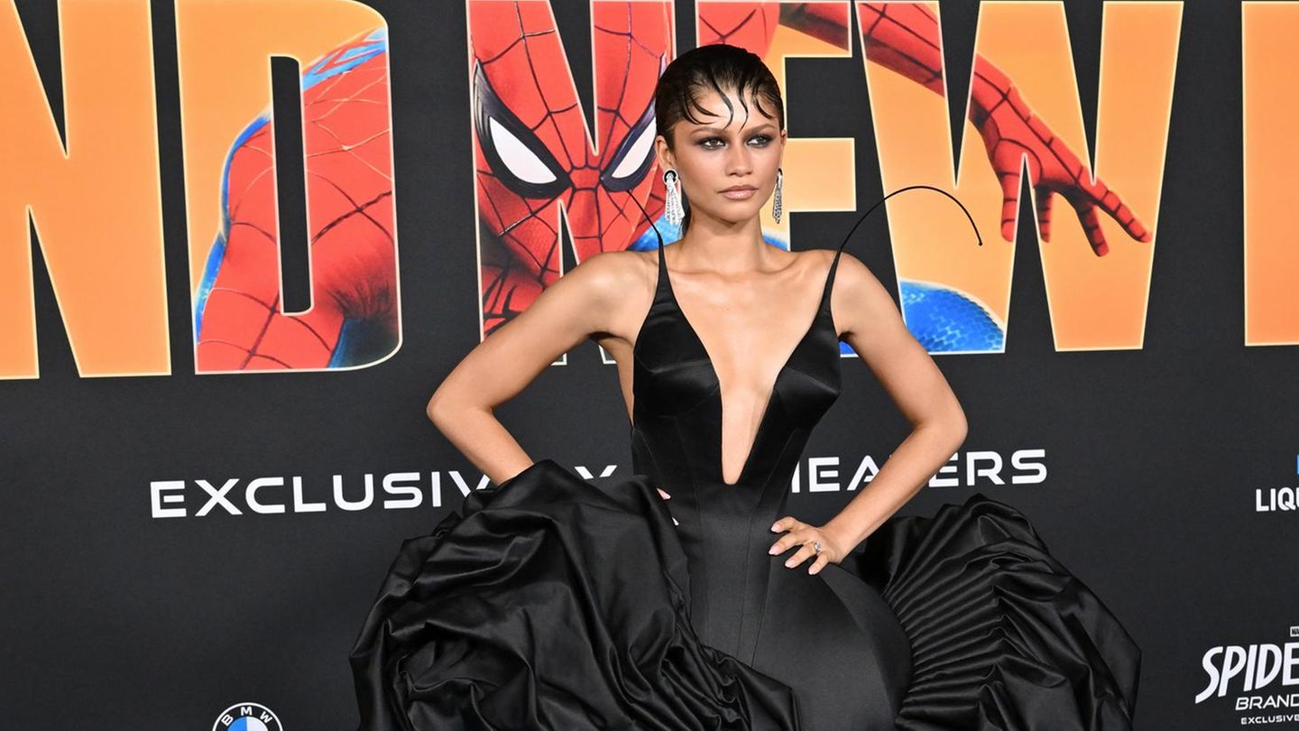 Red-Carpet-Style-2026-Dramatisches-Kleid-doch-ein-Highlight-h-tte-man-fast-bersehen