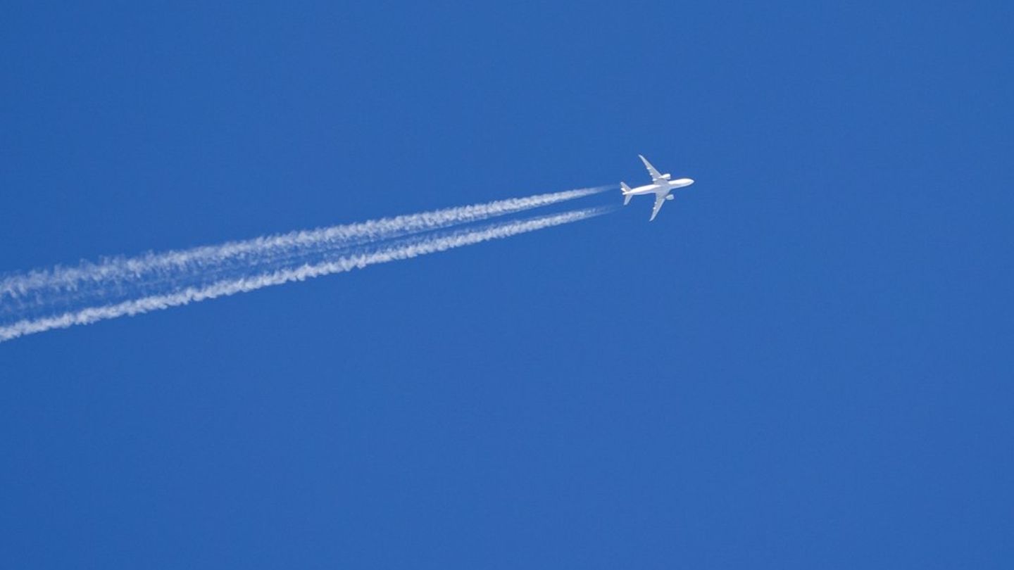 Fluggesellschaften: Diese Airlines sind besonders beliebt